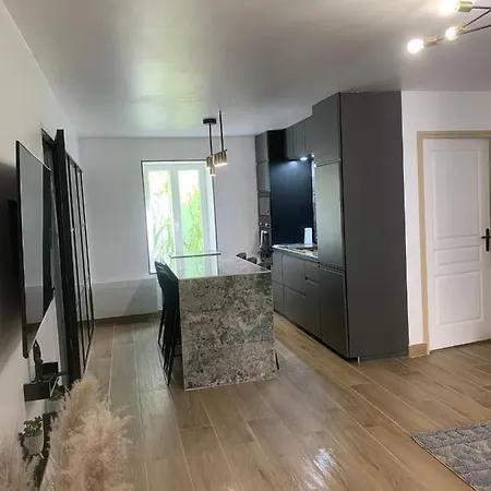 Luxury 3 Bedrooms Appart Disneyland Apartment Meaux